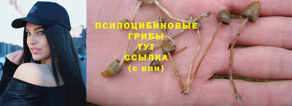 прущий лед Аркадак