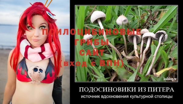 прущие грибы Арсеньев