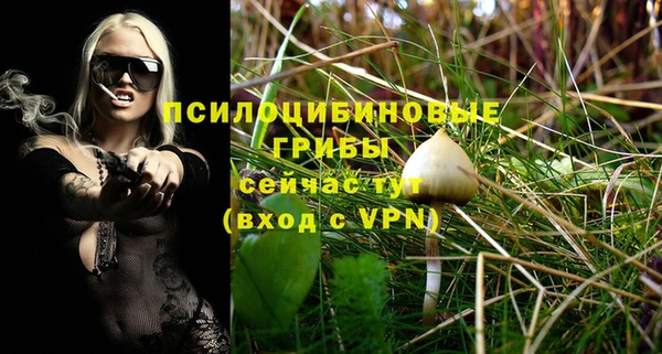 прущие грибы Арсеньев